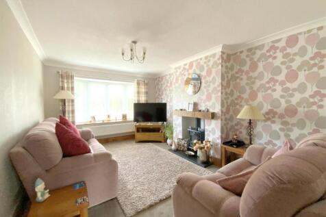 resized_IMG_0570..jpg