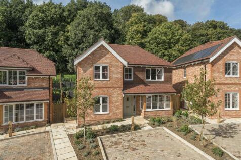 Elevated Photo 4.jpg