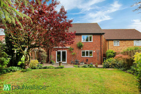 Rear Exterior