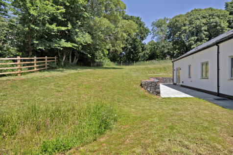Dunlin2025Wakeham Farm (48)48