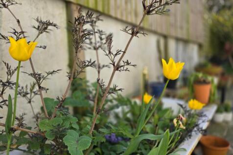 Property Image 21
