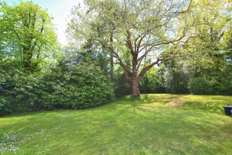 Communal Garden.jpg