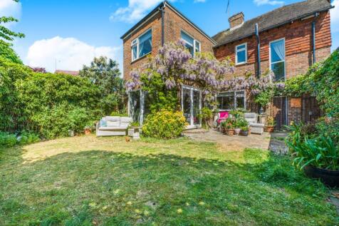 Rear Aspect