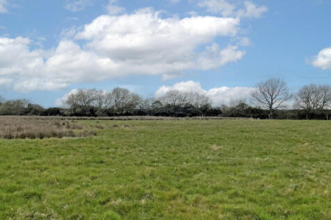 The eastern part of the site remains dry.