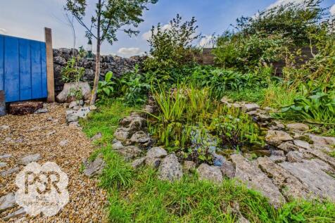 Rear Garden - Pond