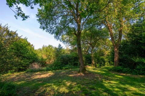 Juniper Stables woodlands-2.jpg