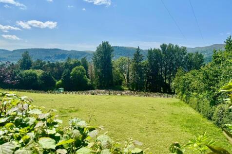 PHOTO-2025-06-11-16-23-07 (10).jpg