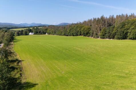 Lot 3 - Wester Moy