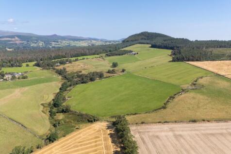 Lot 2 - Wester Moy