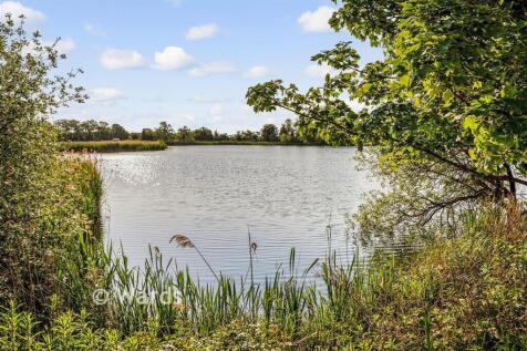 Surrounding Area