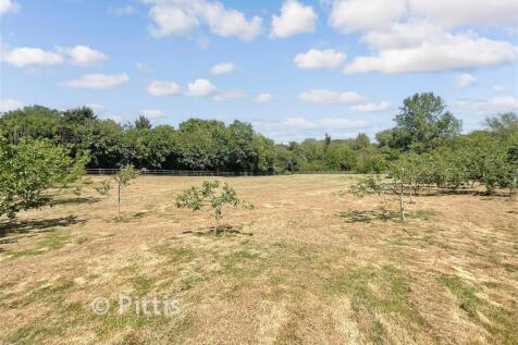 Orchard 2