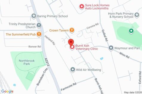Google Maps Image