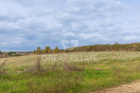 Panorama e Particolari