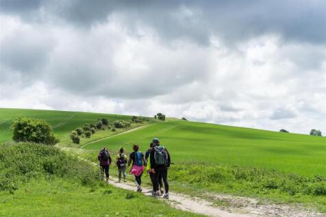 South Downs Way