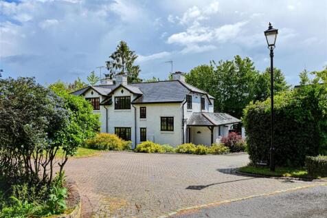 7 The Burrow-1.jpg