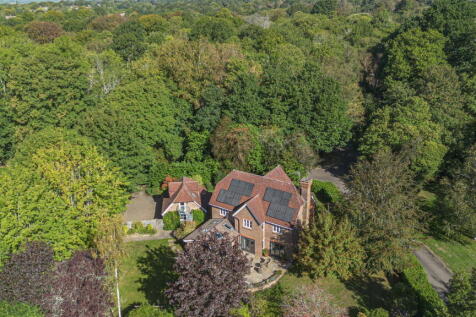 Property Image 39