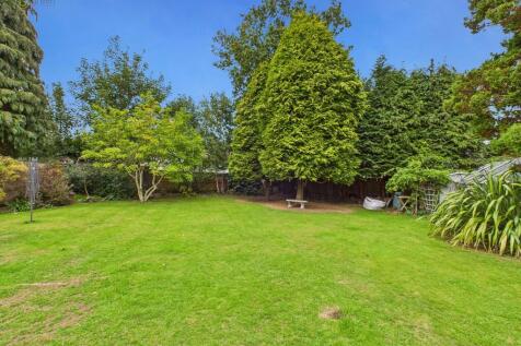 CAM03830G0-PR0223...