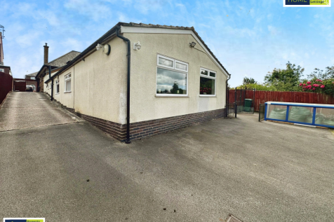 editedimage-0fcb7eb7-e5ae-40a2-80a3-659c88ee815a 2