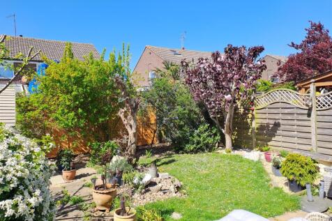 West Facing Rear Garden