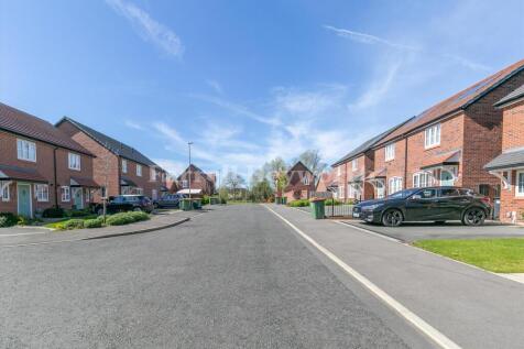Environment