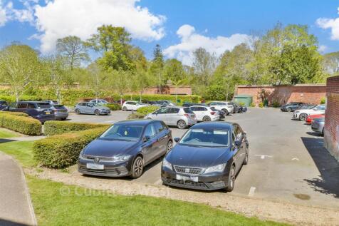 Driveway/Parking