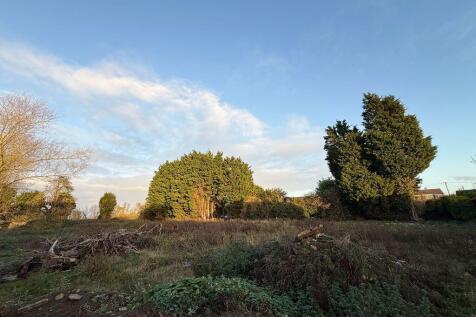 Site Photo