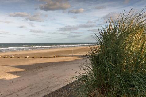 Beach T202605211246.jpg