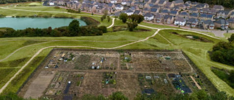 All Saints Gardens Open spaces with allotments