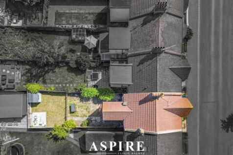 birdseye