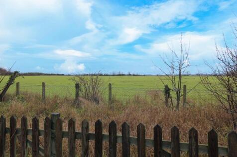 IMG_2177_inPixio (2).jpg