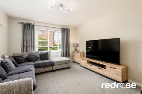 web_16 Old Thorns...