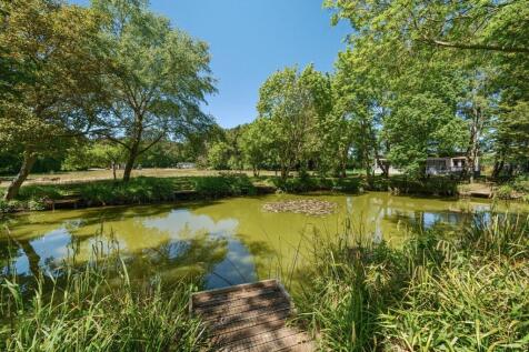 Forest Edge Court