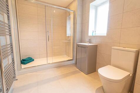 Previous Development