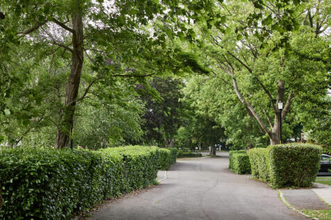 292514 - DGLA1964.jpg