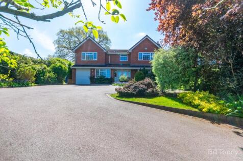 Property Image 41