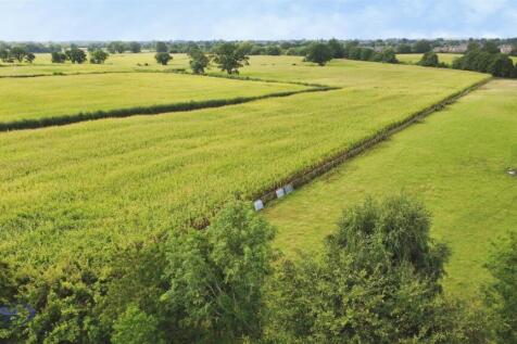 bd54281d-DJI_0139.JPG