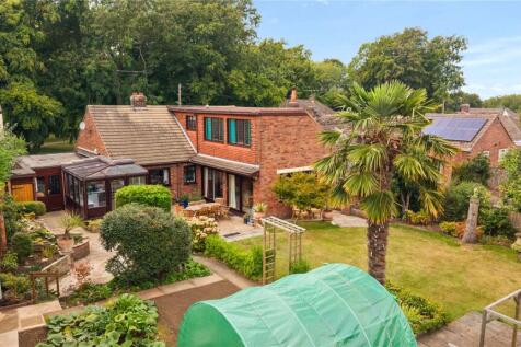 Elevated Rear Garden