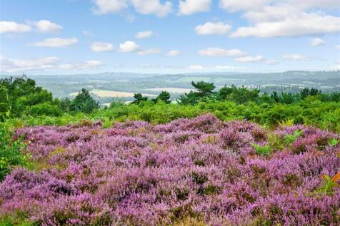 Surrounding Area - Ashdown Forest