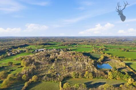 011_dji_20251120091641_0133_d.jpg