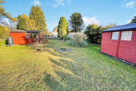 tlc_b059380f-9aa4-4aff-834b-ef76aeea45f4_049d726.j