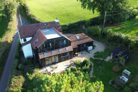 Bellhorse - back shot.JPG