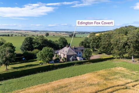 Edington_Fox_Covert-1.jpg