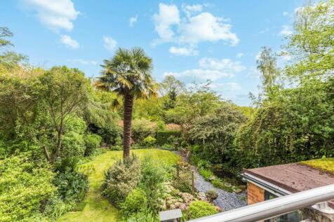 Garden From Balcony