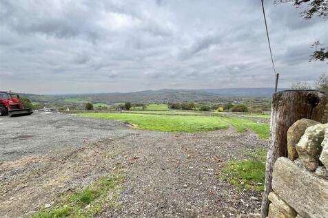 Grazing Land