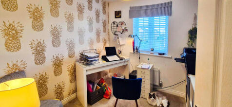 user_edited_photo-a3eb956a_user-edited-7d2324db-48