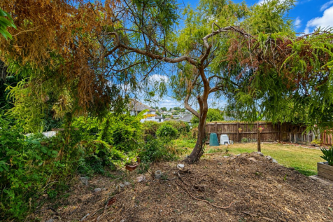 Rear Garden.png