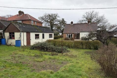 2 Medium T202602191037.jpg