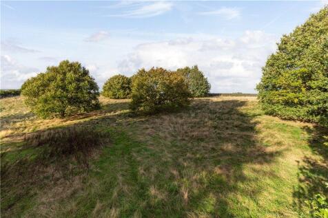 Expansive Land