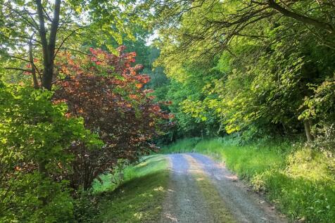 20240702-Driveway.jpg