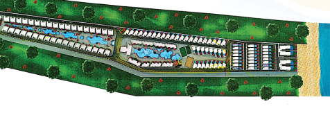 overall site plan